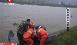 最新偷鱼爆料视频播放,揭秘水下捕鱼黑幕