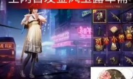 新军需爆料本周最新,本周最新装备动态大盘点