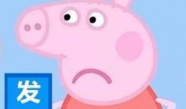 佩奇爆料配方大全最新版,揭秘配方大全全攻略